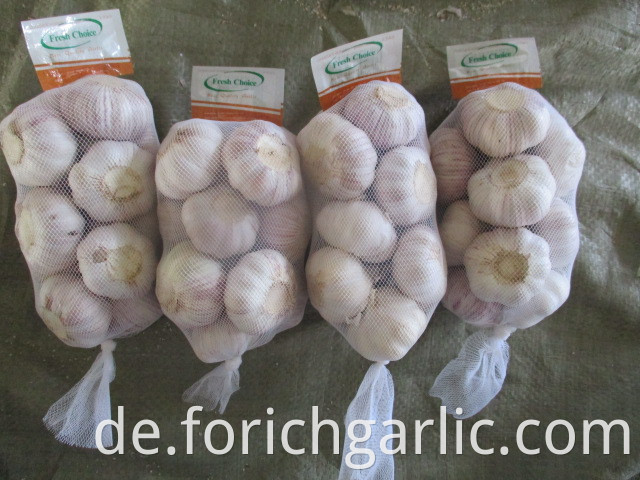 Fresh Normal White Garlic Size 5 0